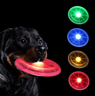 Frisbee lumineux pour chien – jeu amusant même la nuit