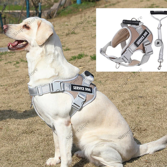 Sd0e2c5c7607f4ec197307395a2f456d8S