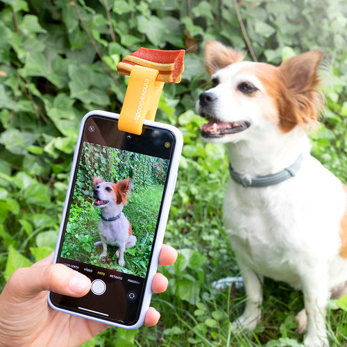 Accessoire Selfie Pour Animaux – Capturez les Meilleurs Moments