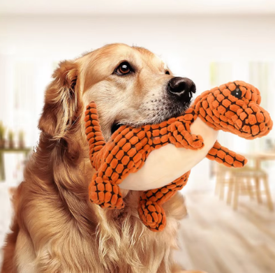 Peluche Dino robuste – compagnon de jeu pour chien & chat